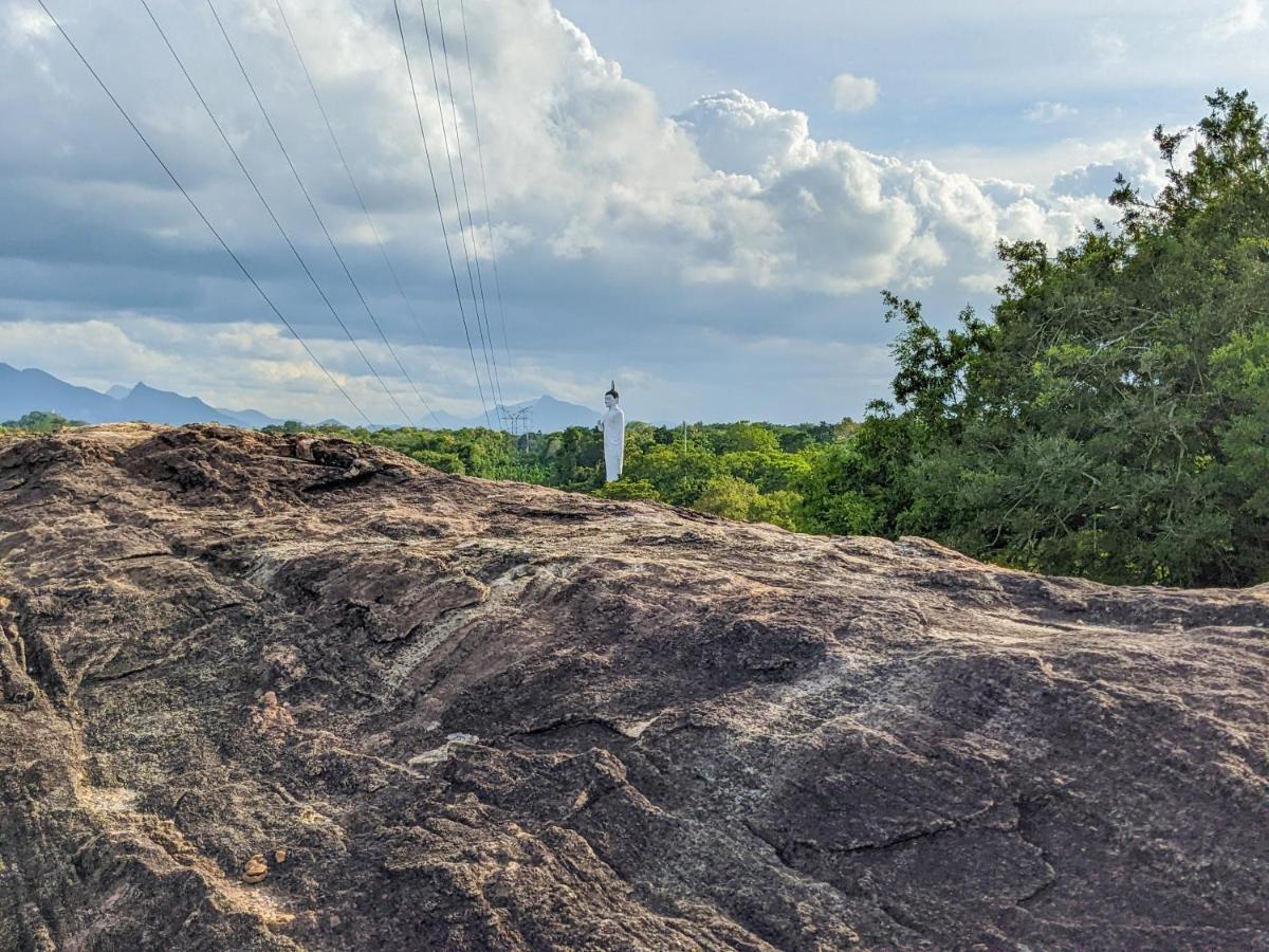 Sigiri Choona Lodge 'Unique Sunrise Viewpoint' Сігірія Екстер'єр фото